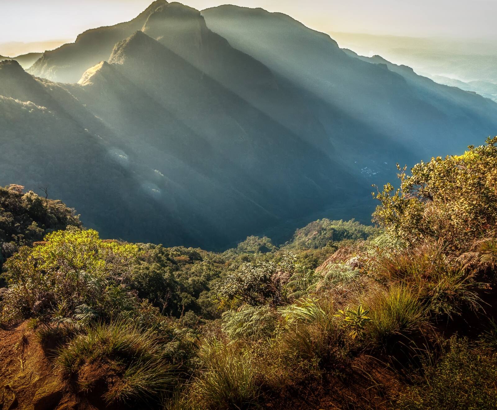 Horton Plains (2)