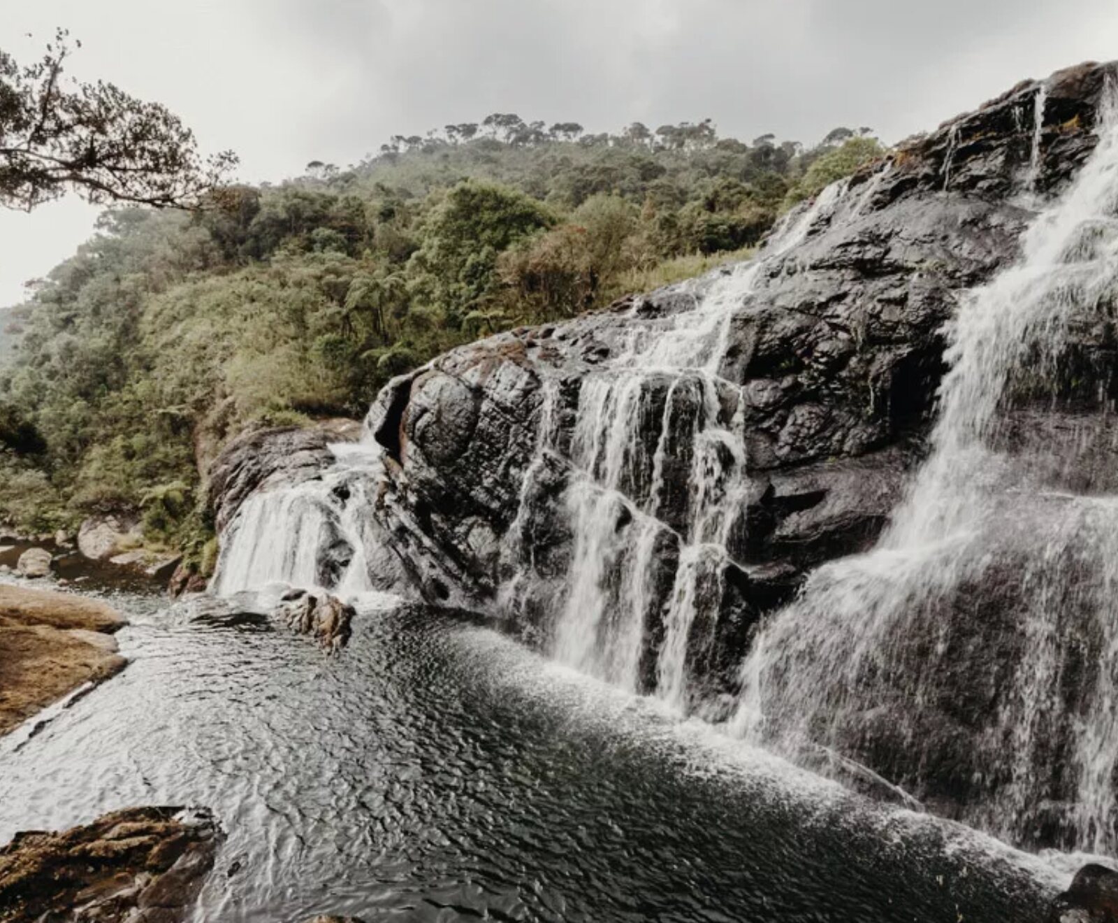 Horton Plains (3)