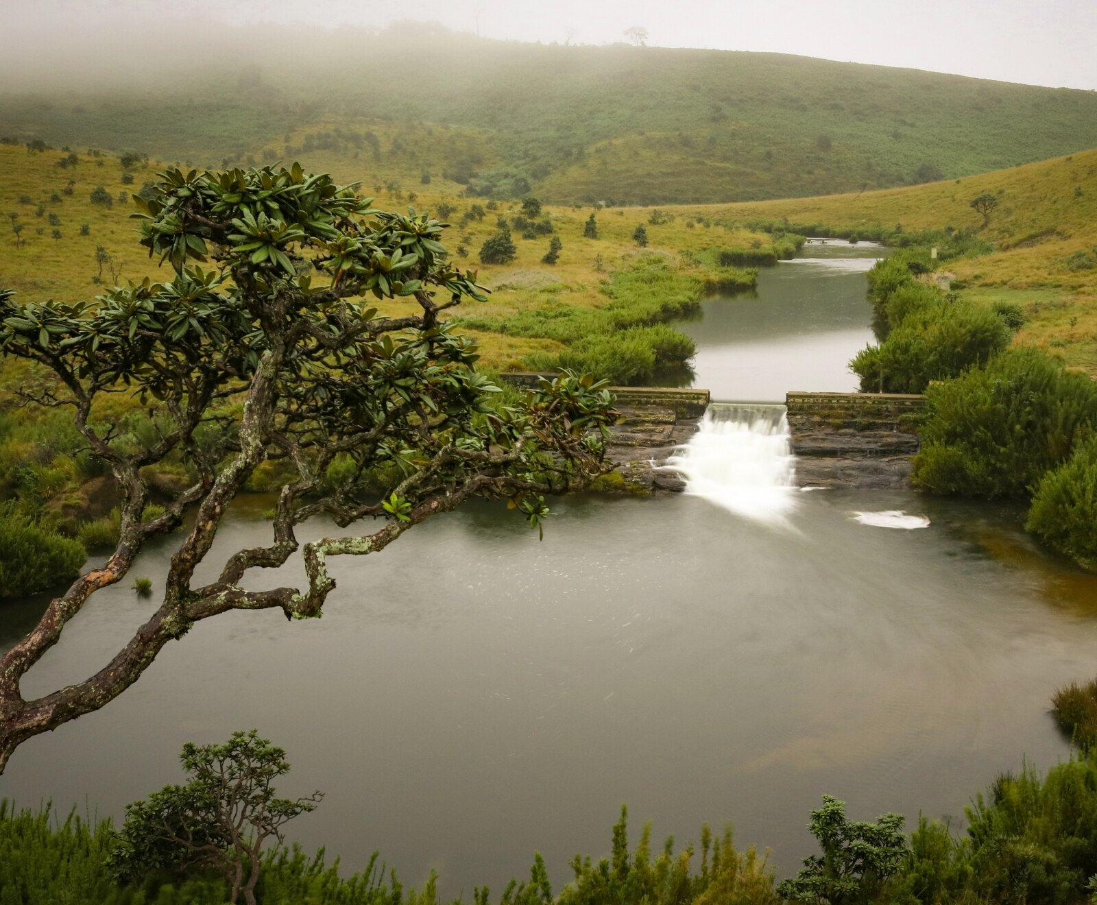 Horton Plains